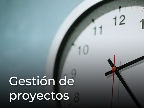 Gestión de proyectos